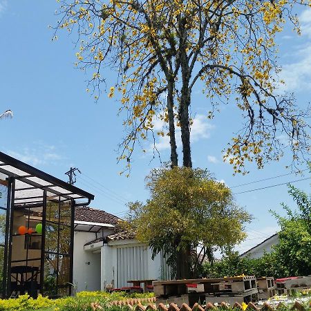 Hostal Morobik Popayan Bagian luar foto