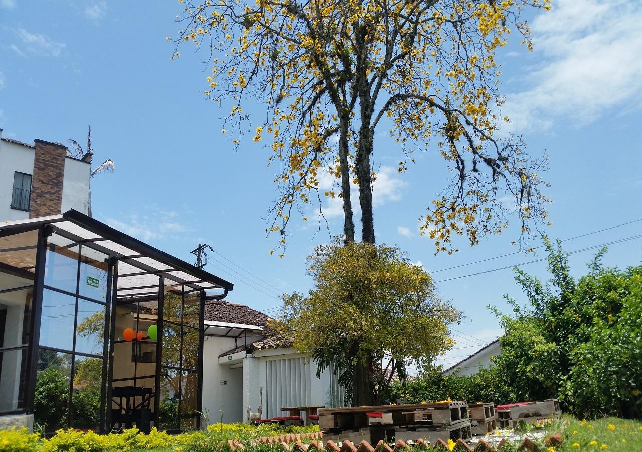 Hostal Morobik Popayan Bagian luar foto